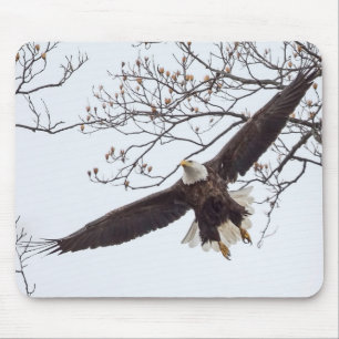 Alfombrilla De Ratón Bald Eagle Wingspread