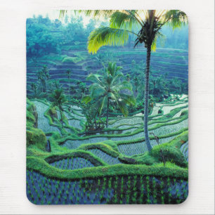 Alfombrilla De Ratón Bali Descripción general de las terrazas de arro