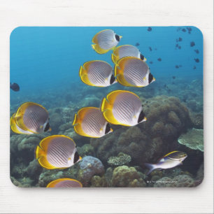 Alfombrilla De Ratón Bali, Indonesia