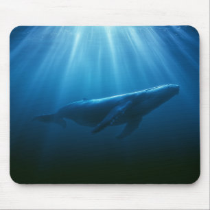 Alfombrilla De Ratón Ballena jorobada submarina
