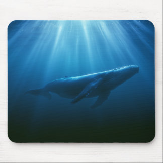 Alfombrilla De Ratón Ballena jorobada submarina