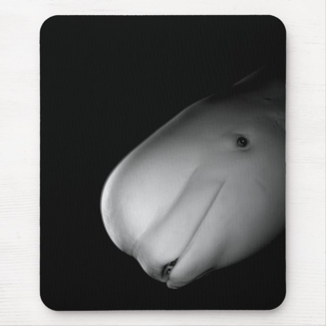 Alfombrilla De Ratón Ballena Mousepad de la beluga (Frente)