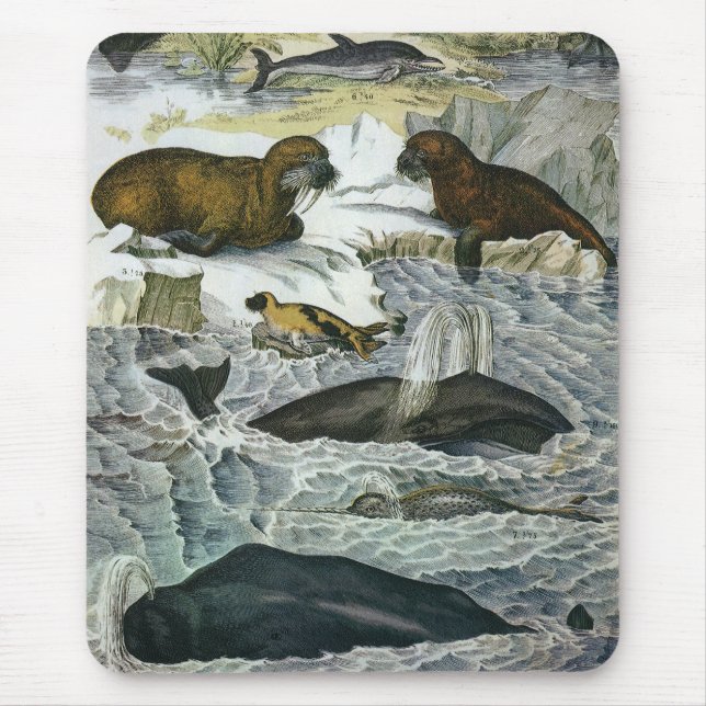 Alfombrilla De Ratón Ballenas, focas y valles, animales marinos (Frente)