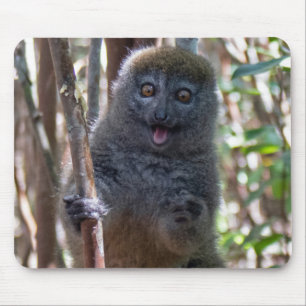 Alfombrilla De Ratón Bamboo lemur