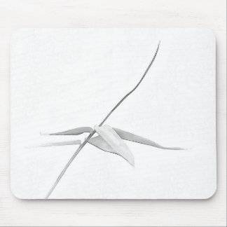 Alfombrilla De Ratón Bambú - Mousepad
