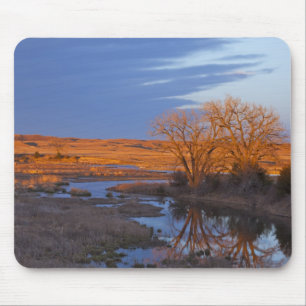 Alfombrilla De Ratón Bañada a la luz del atardecer en el río Calamus