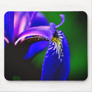 Alfombrilla De Ratón Bandera Azul Iris Flower Petal
