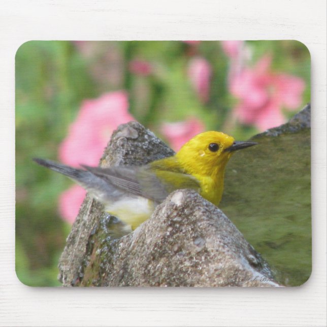 Alfombrilla De Ratón Baño Mousepad del protonotario (Frente)