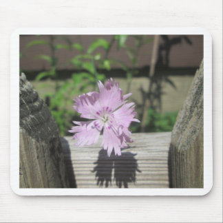 Alfombrilla De Ratón Baños Rosa Dianthus sobre la cerca