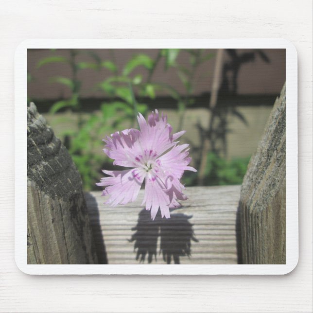 Alfombrilla De Ratón Baños Rosa Dianthus sobre la cerca (Frente)