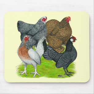 Alfombrilla De Ratón Bantam Hen Quartet