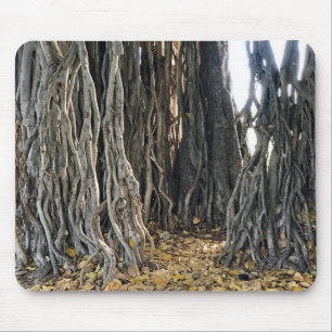 Alfombrilla De Ratón Banyan Tree