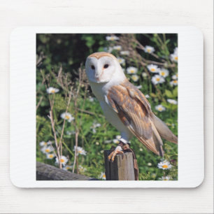 Alfombrilla De Ratón Barn Owl