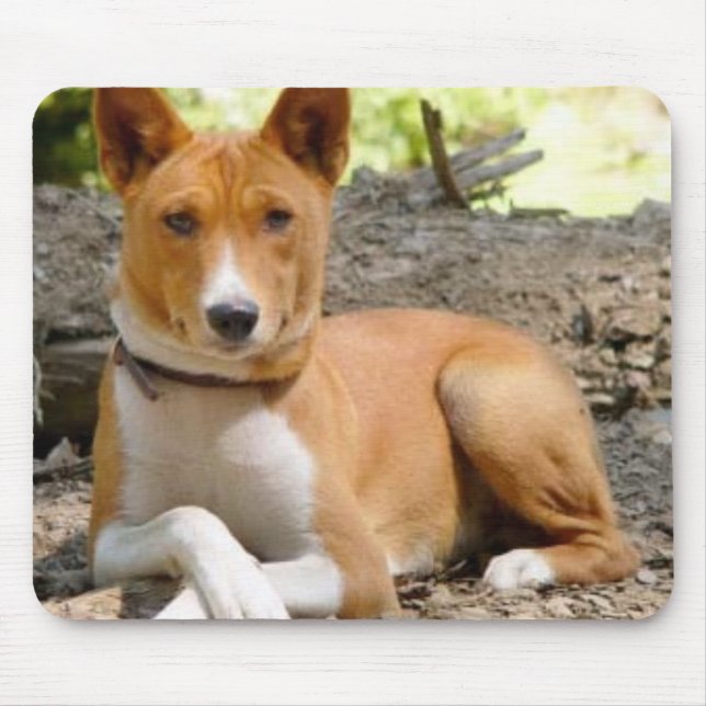 Alfombrilla De Ratón Basenji Mousepad (Frente)