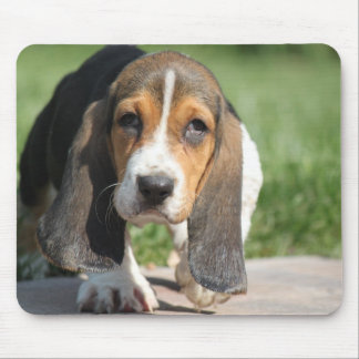 Alfombrilla De Ratón Basset Hound Mousepad