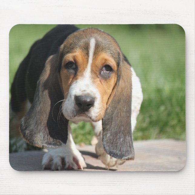 Alfombrilla De Ratón Basset Hound Mousepad (Frente)