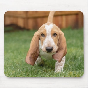 Alfombrilla De Ratón Basset Houng Puppy Walking