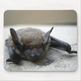 Alfombrilla De Ratón Bate marrón pequeño (Myotis lucifugus)