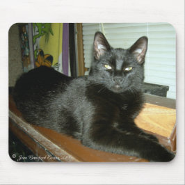 Alfombrilla De Ratón Batito imperial