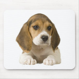 Alfombrilla De Ratón Beagle Mousepad