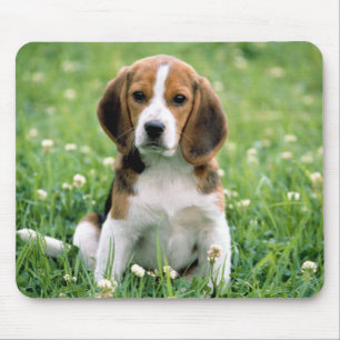 Alfombrilla De Ratón Beagle Puppy
