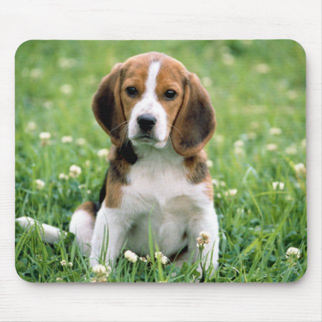Alfombrilla De Ratón Beagle Puppy (Frente)