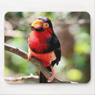 Alfombrilla De Ratón Bearbet Bird Mousepad