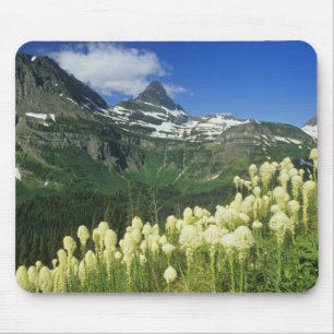 Alfombrilla De Ratón Beargrass cerca de Logan Pass en Gacier National