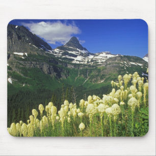 Alfombrilla De Ratón Beargrass en Logan Pass en Glacier National Park
