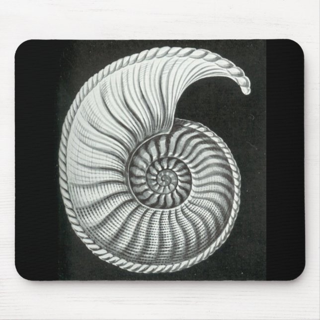 Alfombrilla De Ratón Beautiful pencil drawing of Amaltheus ammonite (Frente)