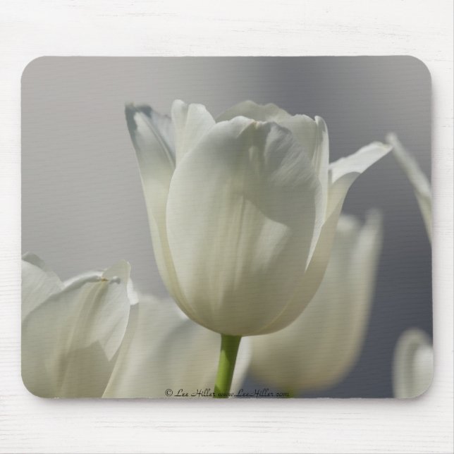Alfombrilla De Ratón Beautiful White Spring Tulips (Frente)