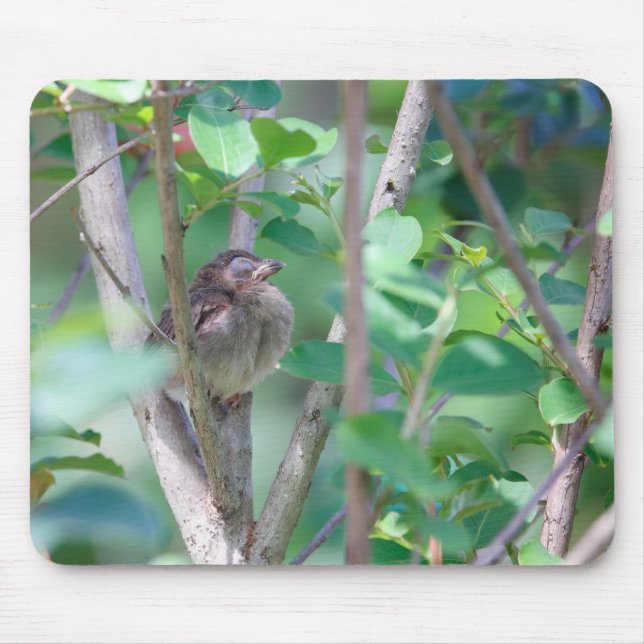 Alfombrilla De Ratón Bebé Cardinal Sleeping (Frente)
