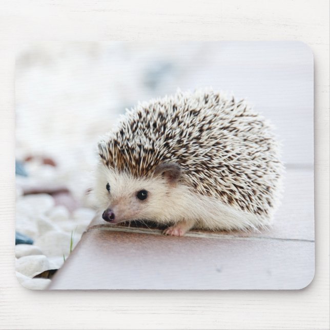 Alfombrilla De Ratón Bebé Cute Hedgehog (Frente)