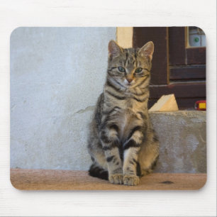 Alfombrilla De Ratón Bebé gato de tigre adorable
