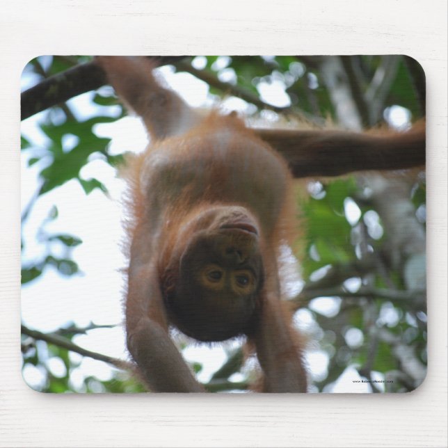Alfombrilla De Ratón Bebé lindo: Animales salvajes de la selva (Frente)