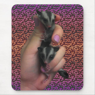 Alfombrilla De Ratón Bebé Sugar Glider Mousepad
