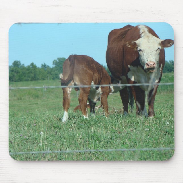 Alfombrilla De Ratón Becerro de la enfermería (Frente)