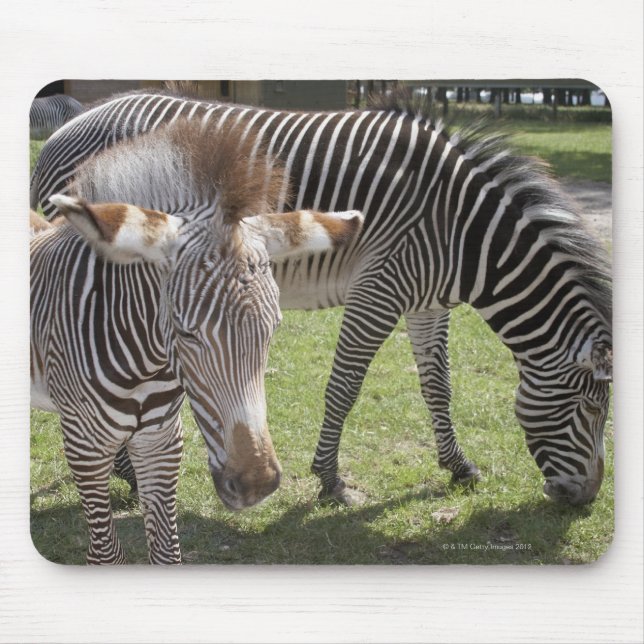 Alfombrilla De Ratón Bedfordshire, Inglaterra (Frente)