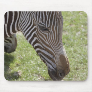 Alfombrilla De Ratón Bedfordshire, Inglaterra