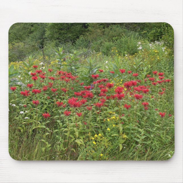 Alfombrilla De Ratón Bee Balm (Bergamot) (Frente)