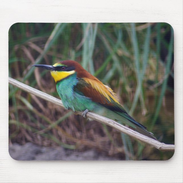 Alfombrilla De Ratón Bee-eater (Frente)