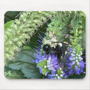 Alfombrilla De Ratón Bee on Purple Flower Mouse Pad