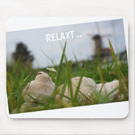 Alfombrilla De Ratón Beer relaxt in natuur met Hollandse molen.