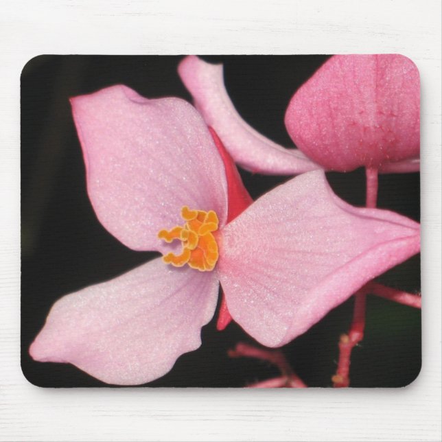 Alfombrilla De Ratón Begonia rosada Mousepad (Frente)