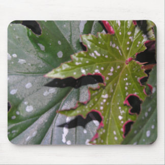 Alfombrilla De Ratón Begonias Mousepad del ala del ángel