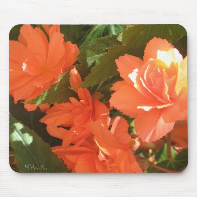 Alfombrilla De Ratón Begonias Photo Mousepad (Frente)