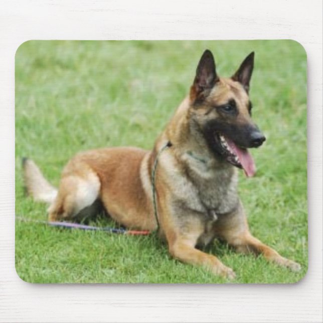 Alfombrilla De Ratón Belga Malinois Mousepad (Frente)