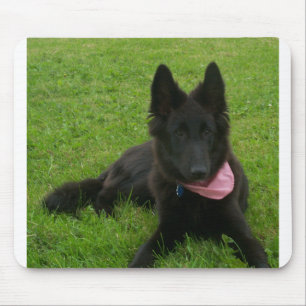 Alfombrilla De Ratón Belgian_Shepherd_Groenendael_puppy
