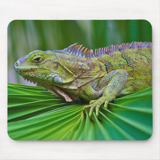 Alfombrilla De Ratón Bella almohadilla de ratón Chameleon (Frente)