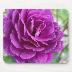 Alfombrilla De Ratón Bella almohadilla de ratón Rosa Purple Lilac
